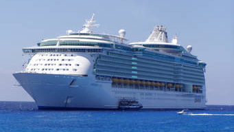 cruise1 cruise1
