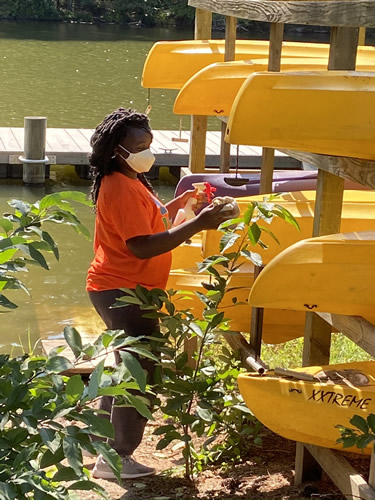 kayak kayak