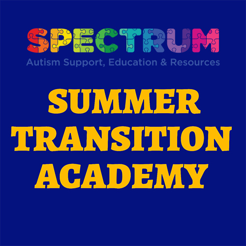 summer-transition-academy-fi